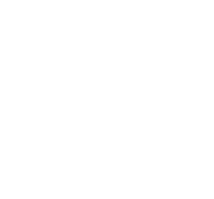 Paco Brand Partners